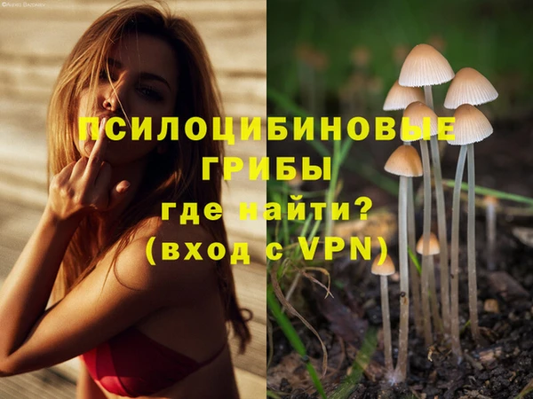 Альфа ПВП Михайловск